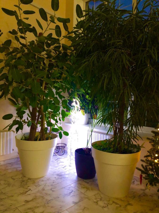 The Gardenapartments Одесса Экстерьер фото
